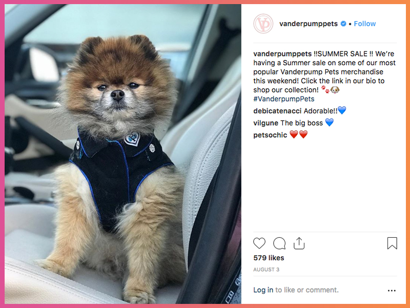 vanderpump pets instagram