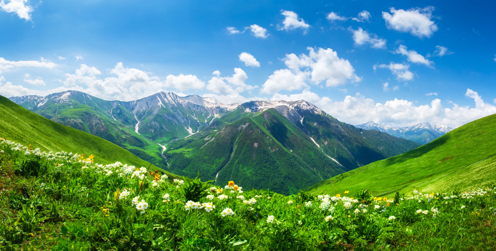 A beautiful alpine landscape