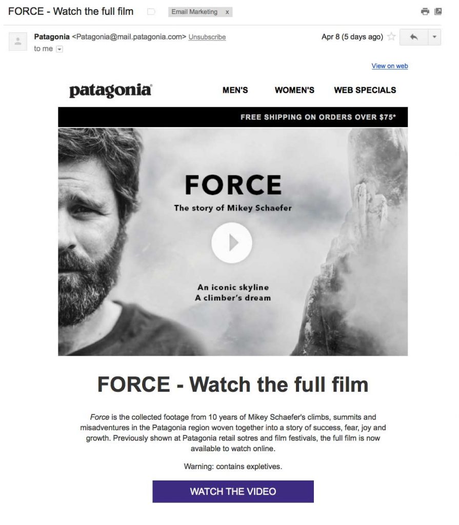Patagonia's Video Email Marketing