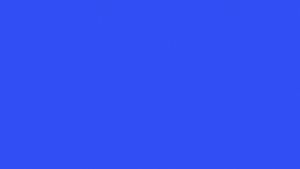 Brand_stories_Nexbelt