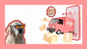 Shipping and delivery memes